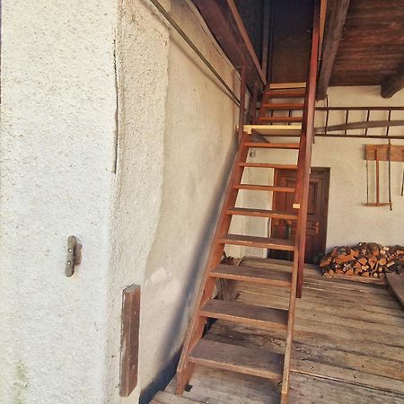 River Loft イリルスカ・ビストリツァ エクステリア 写真